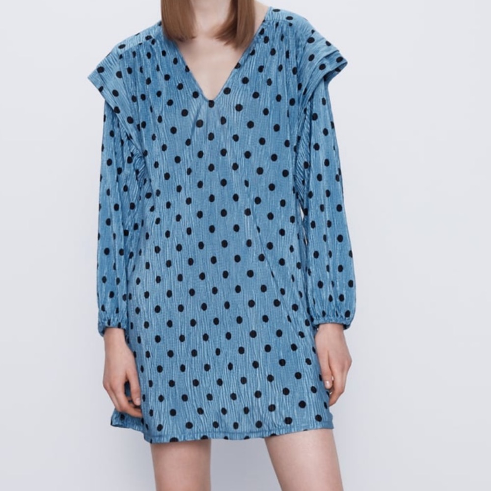 Polka Dot Zara Mini Dress